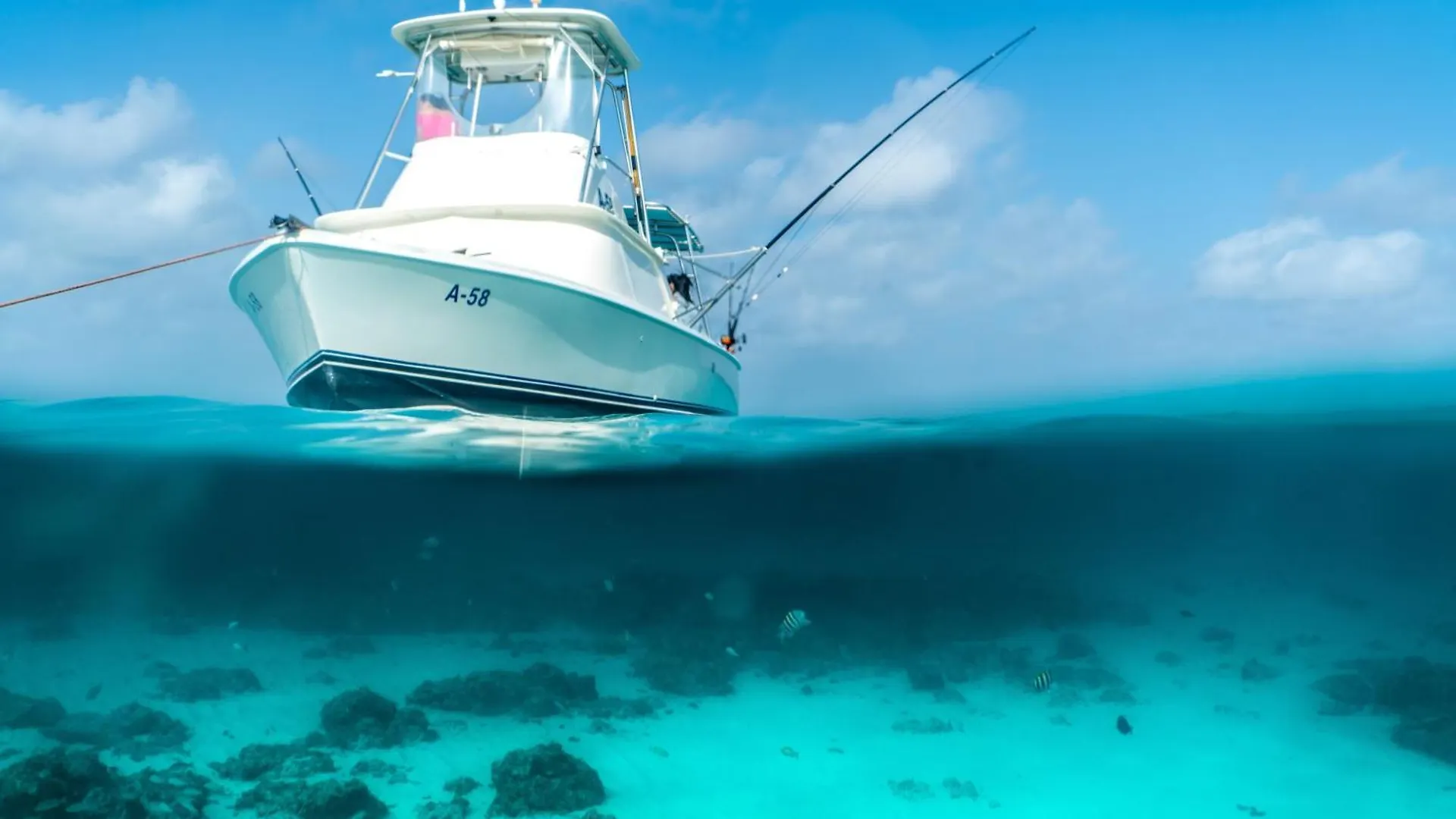 Arubas Life 305 Διαμέρισμα Noord
